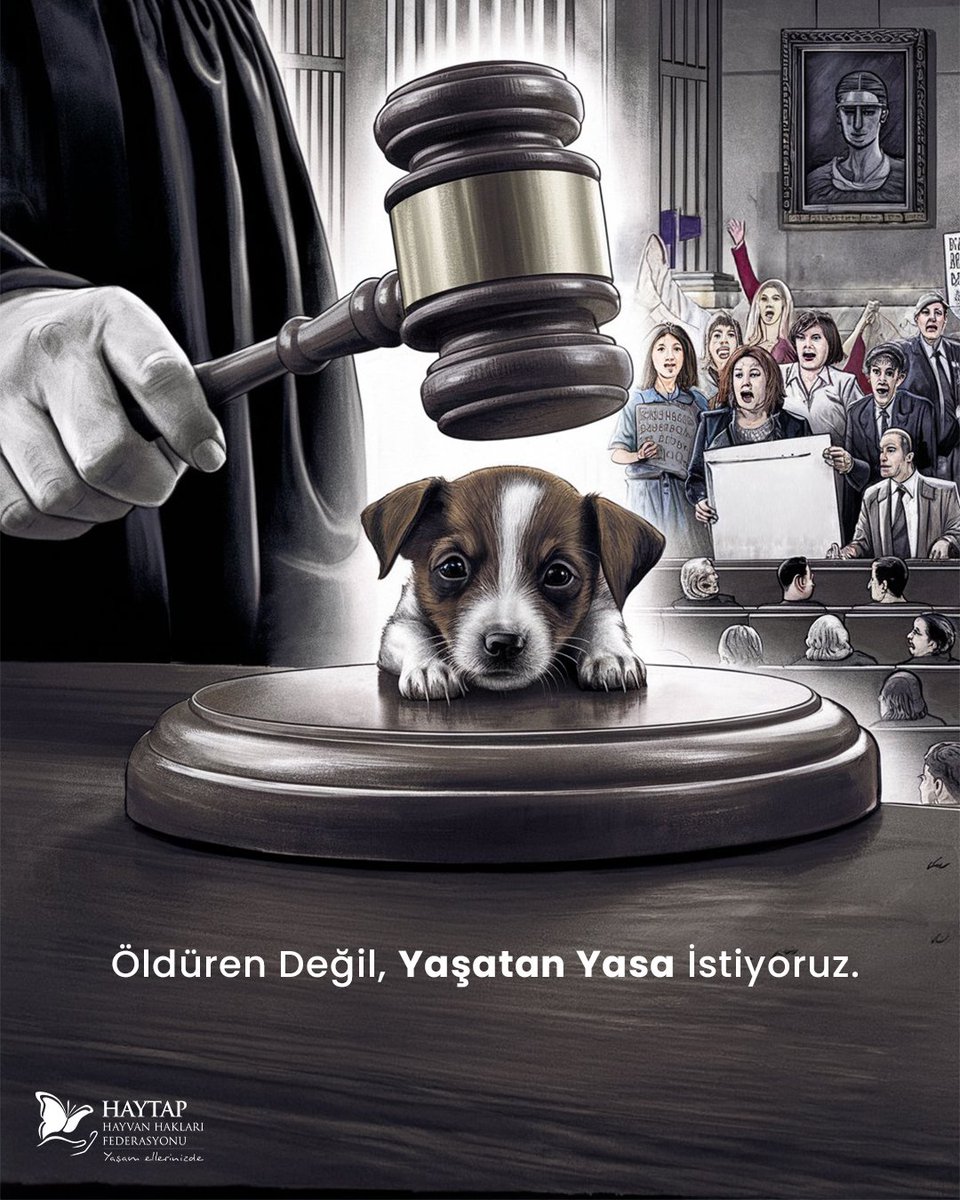 Sokakta yaşayan can dostlarımıza sahip çıkacağız ! 
#YasayıGeriÇek