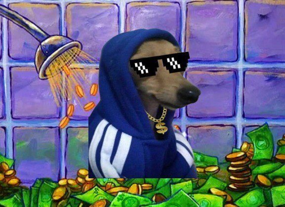 AlphaGhost07's tweet photo. @pipocto @gmecoinsol $PIPO TO 1M 🐶🚀 https://t.co/ifqyZdmkeS