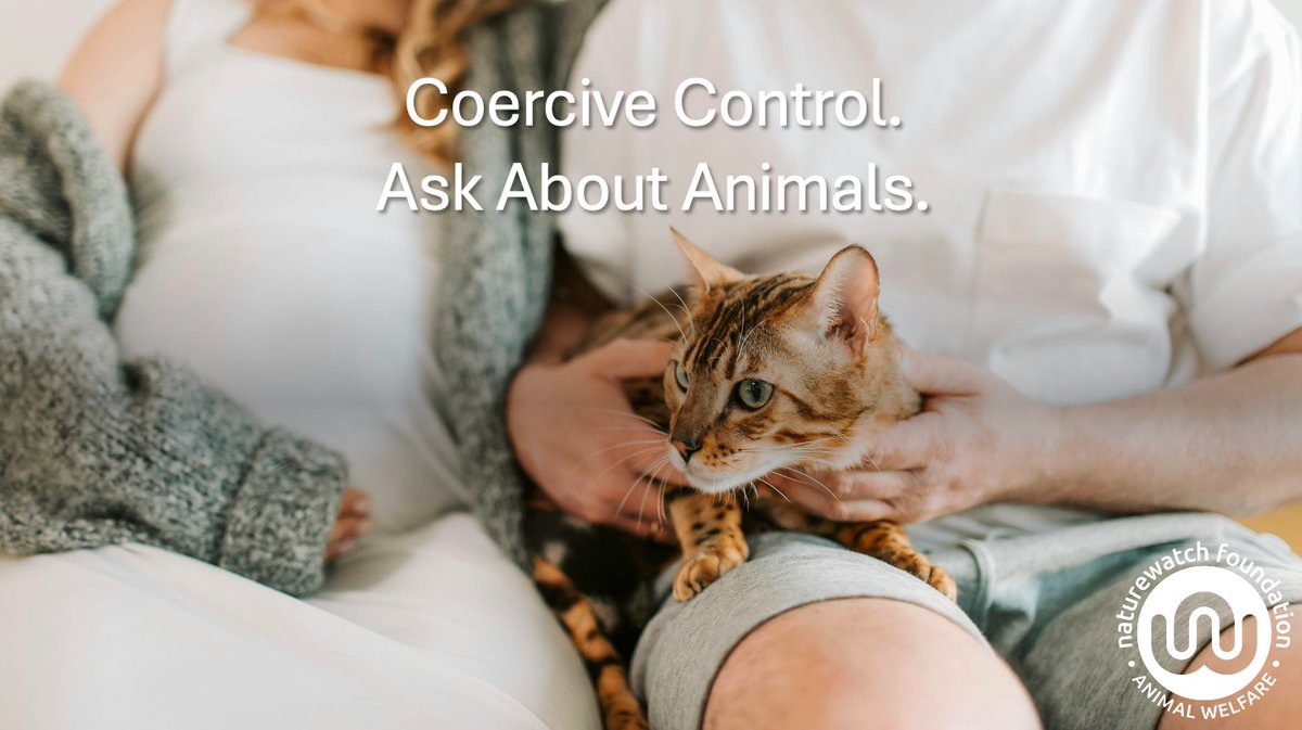 hi_sight's tweet photo. "The safest communities for people and those within which animals are protected."

Read about the 'Protect Animals. Protect People' campaign at @Naturewatch_org here 👇

https://t.co/gQ4jx8FI9r https://t.co/et521fcY34