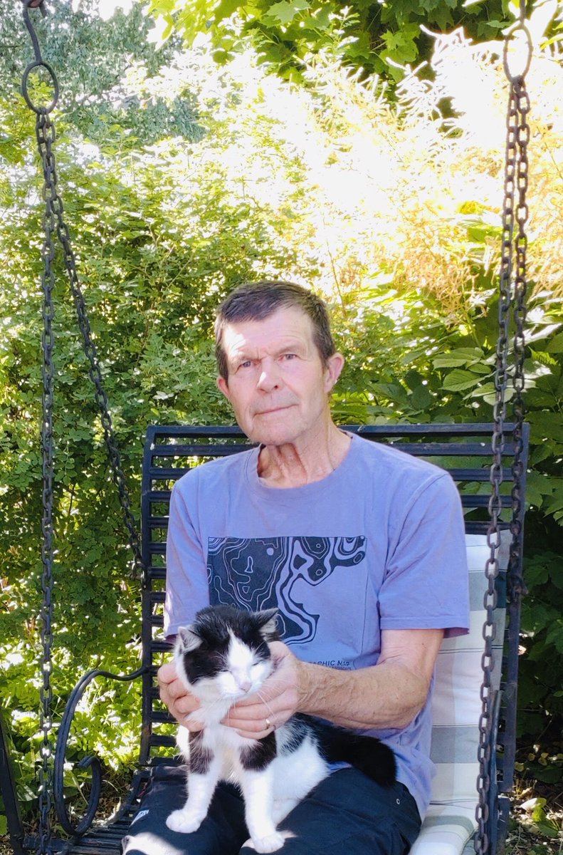 Nu är det sköna dagar i trädgårdsgungan med katten !