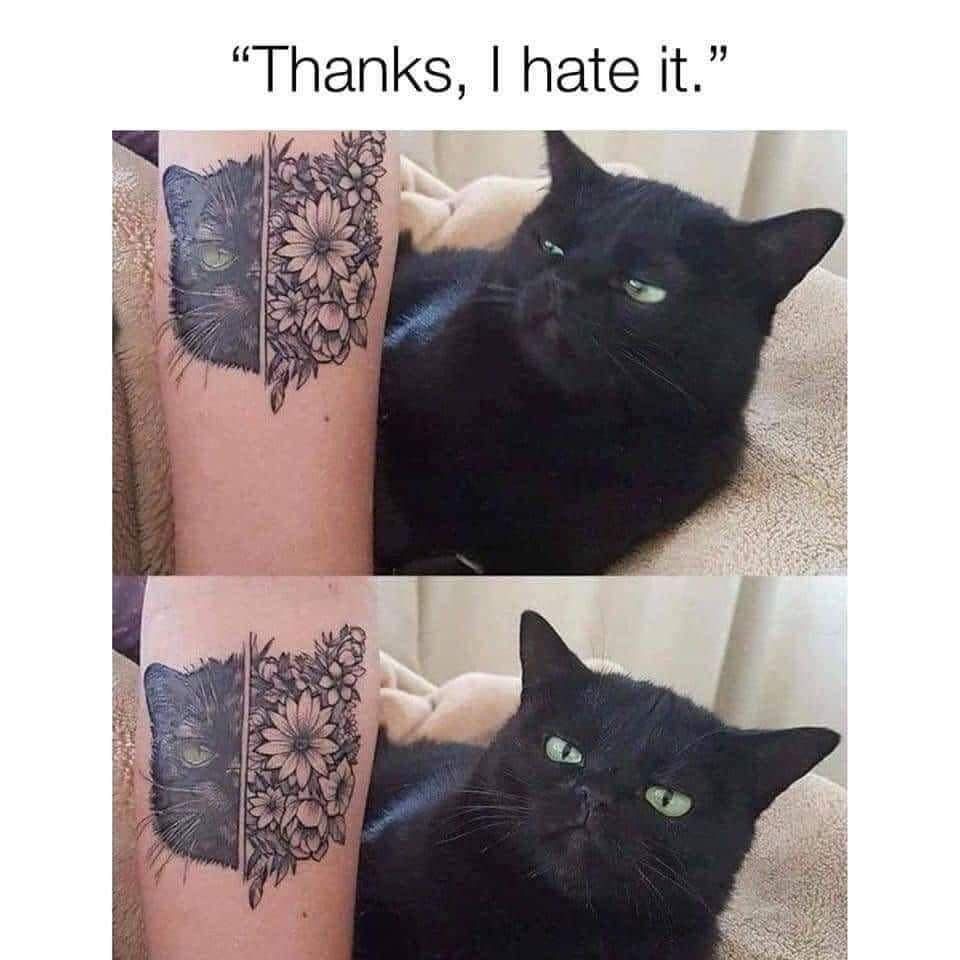 positive side of X 🌞 tweet media