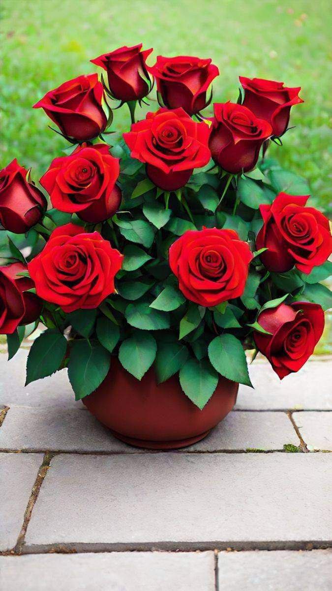 may121f's tweet photo. 🌹كل شيء تتعاقب عليه المواسم والفصول إلاّ القلوب النقية.. فلا يميتها شتاء.. ولا يضنيها صيف ولا يخذلها خريف.. بل تظل بربيع دائم تُزهر بالطيب والخير والمحبة
 #رسالة_لقلبك https://t.co/L2Ut9QFBSX