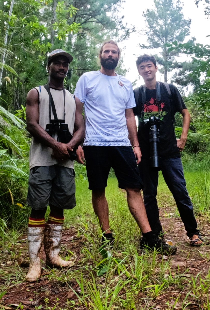Pacific_Ark's tweet photo. 🌿🦋 Just returned from an incredible trip to Vasuratu Village in Netewa Bay! We had the privilege of collaborating on their inspiring Agroforestry project. If you're into forest hikes, birdwatching, and rare butterfly encounters, you MUST check out @Vasaratu Ecotours. Their Butt https://t.co/YEHLbyQ4Me