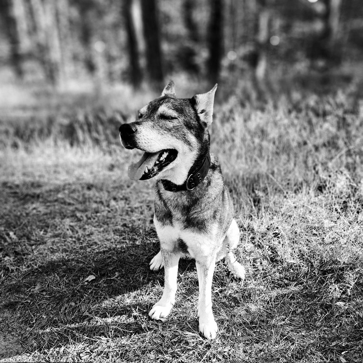 Tur aiz mākoņiem ir saule ...
Tu biji īsu brīdi, bet atnesi tik daudz mīlestības un prieka!