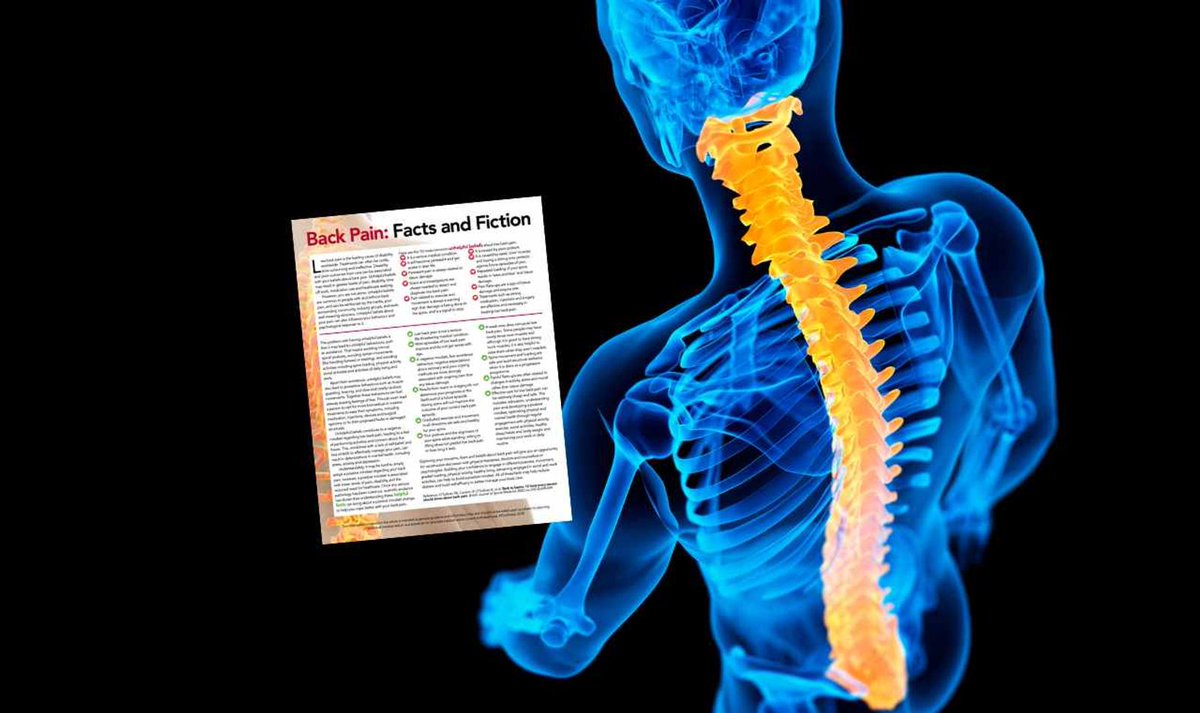 False beliefs about back pain can worsen pain, disability, work absences, and unnecessary healthcare seeking. These misconceptions impact behavior and psychological response. This leaflet aims to correct these beliefs.app.co-kinetic.com/success-page/b…𝗖𝗮𝗹𝗹 𝗼𝗿 𝗕𝗼𝗼𝗸 𝗼𝗻𝗹𝗶𝗻𝗲!