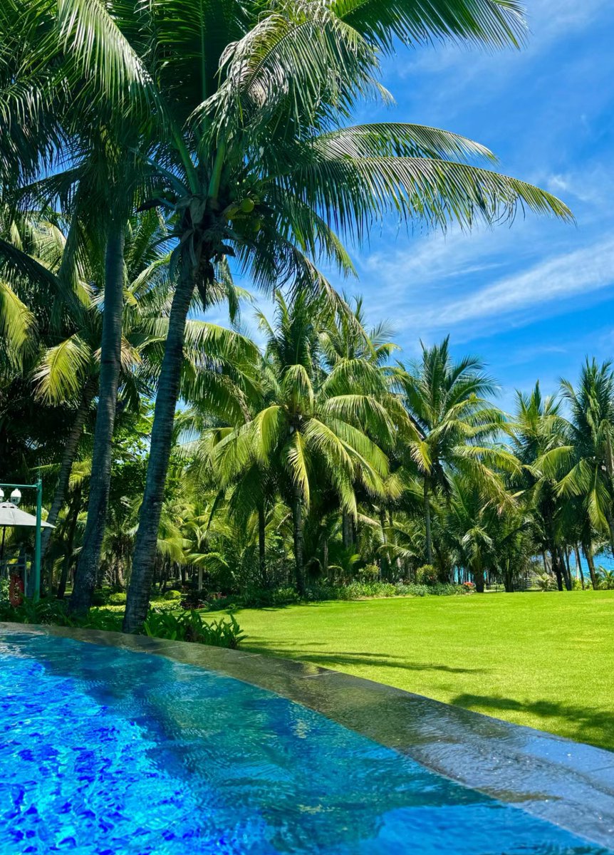 花江夏树 tweet media