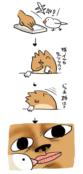 文鳥…日々の癒し… 
