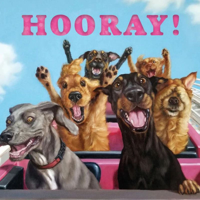 Alisa235's tweet photo. It’s the weekend! https://t.co/jncCYW0HtB