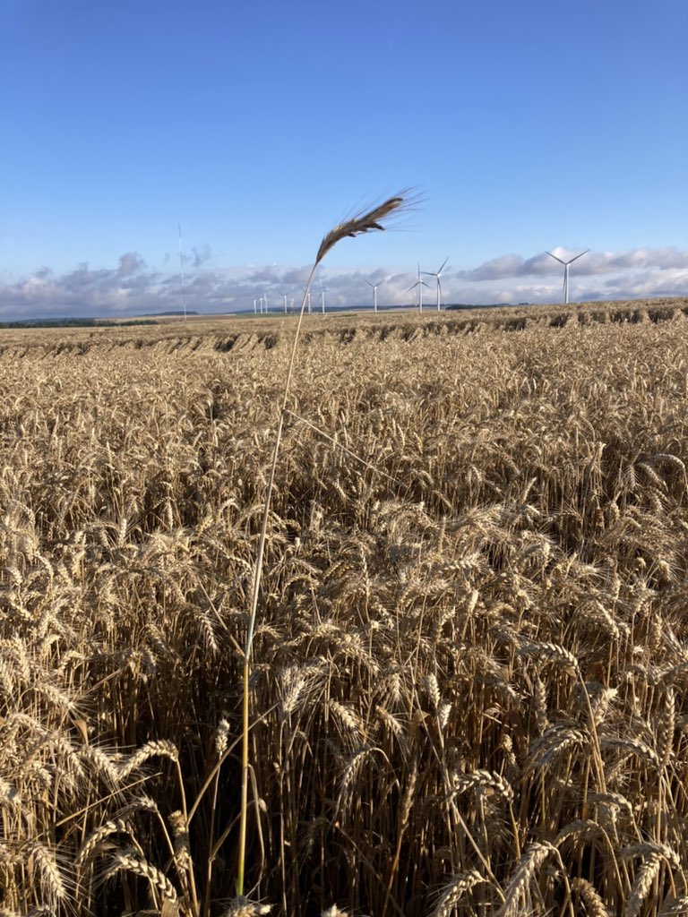 Emmanuel BONNIN tweet media