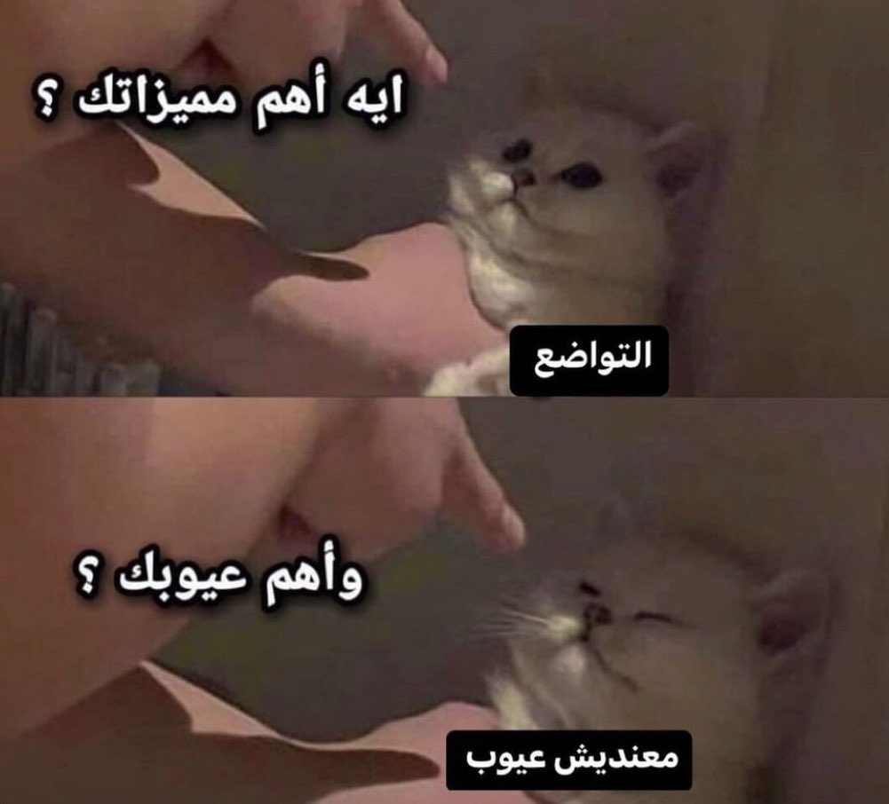 MemesOficiial's tweet photo. https://t.co/IsLJftV9x2