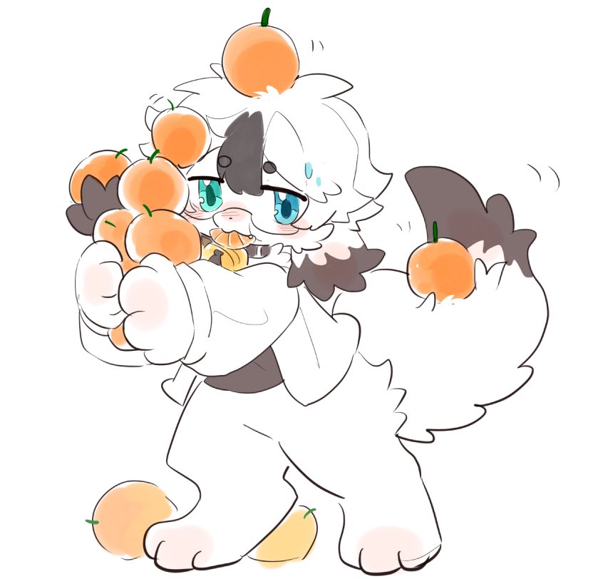 brownrat0716's tweet photo. 🍊 https://t.co/TsxXj0zS00