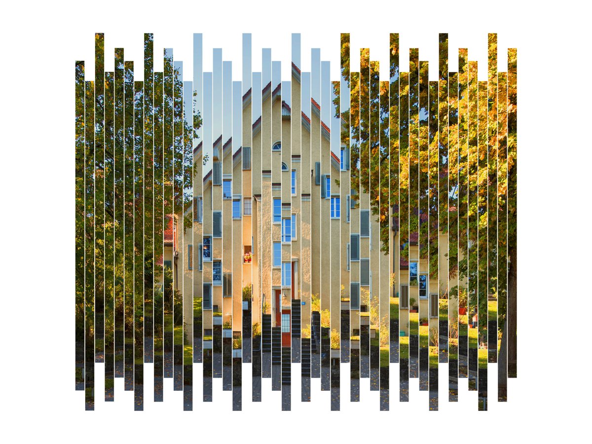 Philipp Albrecht tweet media