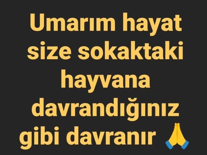 İntikamMeleği tweet media