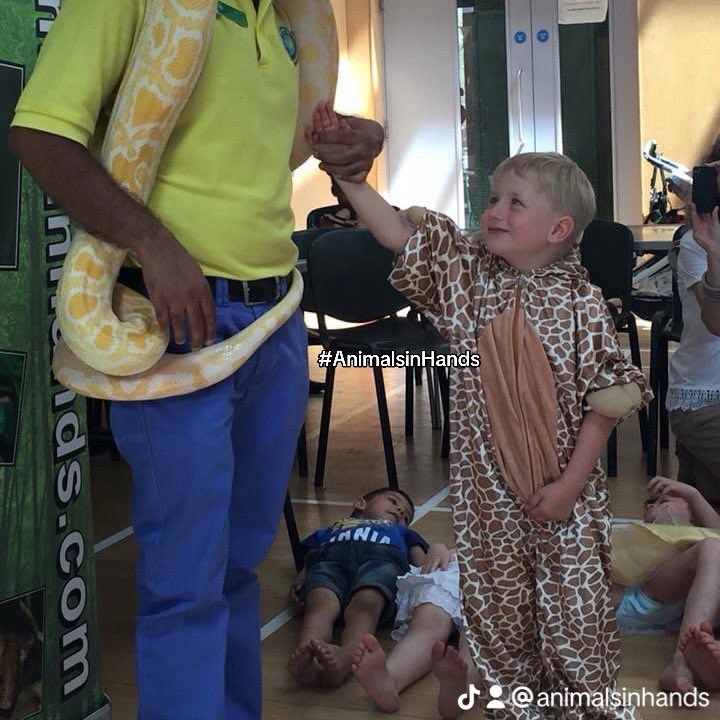 AnimalsinHands's tweet photo. Extraordinary Animal Parties.
#animalmanuk #mothezookeeper #animalpartiesuk
#animalmanbirminghamuk #animalmantiktok #fyp #teachersoftiktok #theanimalman
#animalmanwestmidlands
#animalpartiesuk #animalman
#swipetrend #zookeeperdays
https://t.co/4qMhpIMflY https://t.co/JWhEWTocox