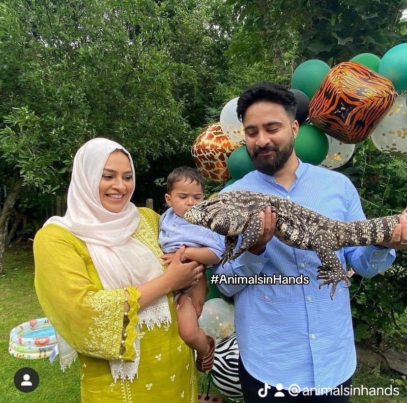 AnimalsinHands's tweet photo. Extraordinary Animal Parties.
#animalmanuk #mothezookeeper #animalpartiesuk
#animalmanbirminghamuk #animalmantiktok #fyp #teachersoftiktok #theanimalman
#animalmanwestmidlands
#animalpartiesuk #animalman
#swipetrend #zookeeperdays
https://t.co/4qMhpIMflY https://t.co/JWhEWTocox