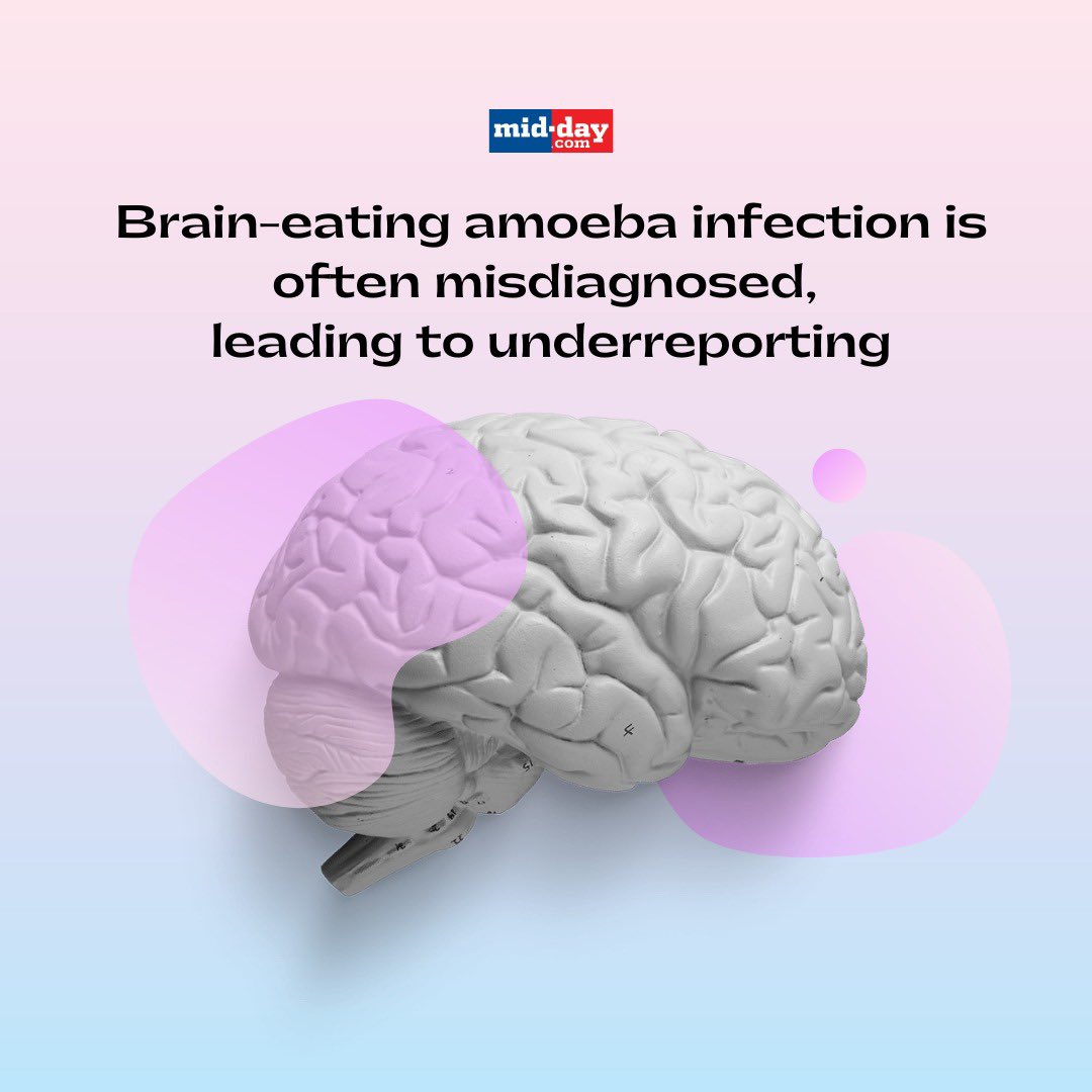 mid_day's tweet photo. As more cases of the brain-eating amoeba are reported in Kerala, https://t.co/CxVJRmaRJm spoke to doctors in Mumbai to highlight the causes, explain more about primary amoebic meningoencephalitis, and emphasize why people should take it seriously.
#braineating #amoeba #kerala #doctors #mumbai #meningoencephalitis
Read More: https://t.co/FsMaMmIWXz
