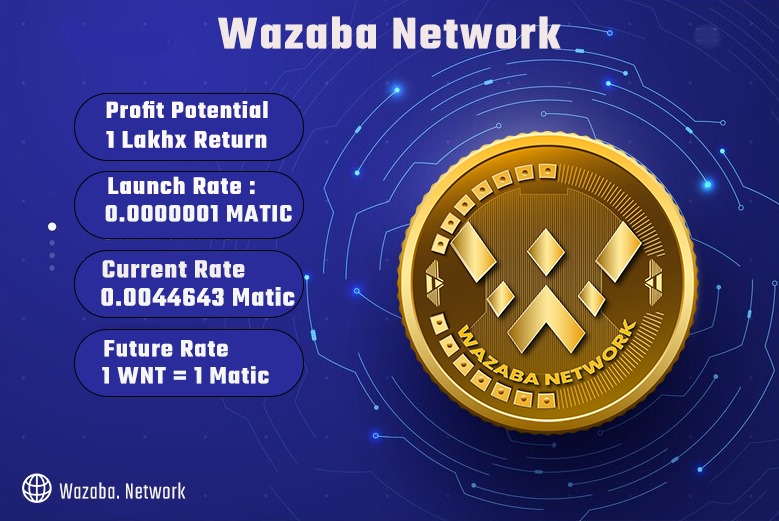 Wazaba Networkofficial tweet media
