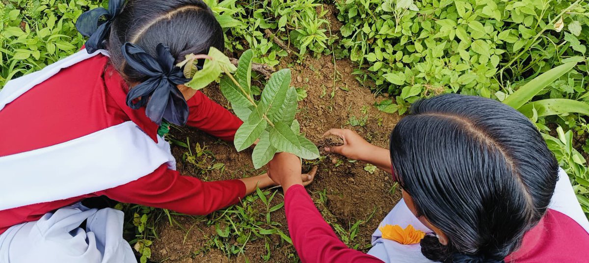 NCCUttrakhand's tweet photo. Tree plantation drive under the theme"एक पेड़ मां के नाम" was carried out by GGIC Paye Bageshwar
40 Cadets of 24 UK Girls of Nainital Gp. participated enthusiastically
@HQ_DG_NCC @pushkardhami
#TreePlantation #OneCadetOneTree https://t.co/AdzMXSpPhZ