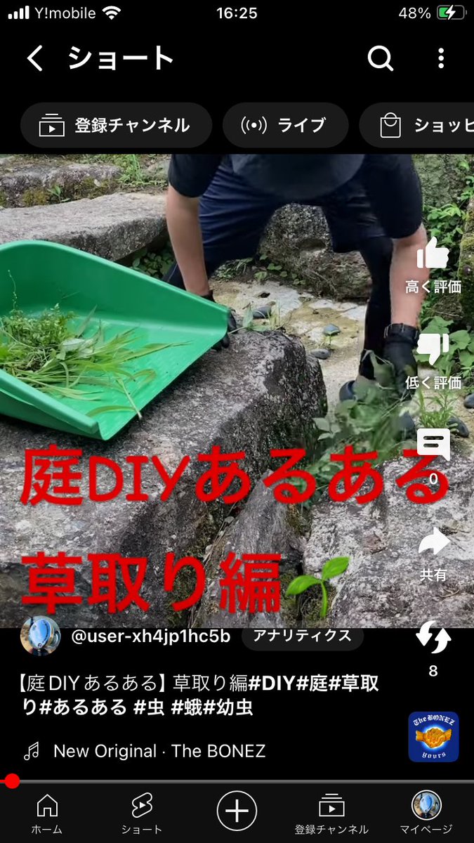 CzphXpcppwXAau9's tweet photo. YouTubeショート動画更新しました🆙🎥
【庭DIYあるある】草取り編#DIY#庭#草取り#あるある #虫 #蛾#幼虫 https://t.co/rWG001Vclm
#TheBONEZ
#NewOriginal https://t.co/i4mfk05GpA