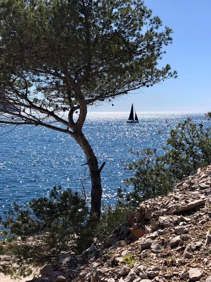 Il n'y a pas de honte à préférer le bonheur - Albert Camus