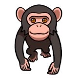 kaerun393's tweet photo. チンパンジーが出現!
超可愛いサルをもっと温泉で満足させよう！ https://t.co/1nLOKVN142