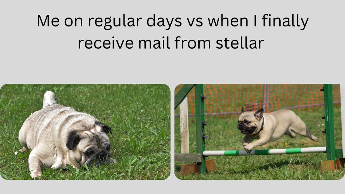 sanskar_gu51769's tweet photo. "Me waiting for Stellar updates: Regular days vs. When I get that mail ๐๐ #DeveloperLife #Stellar"
#memeonstellar
@StellarOrg @riseinweb3 https://t.co/nTaPlKNiJP