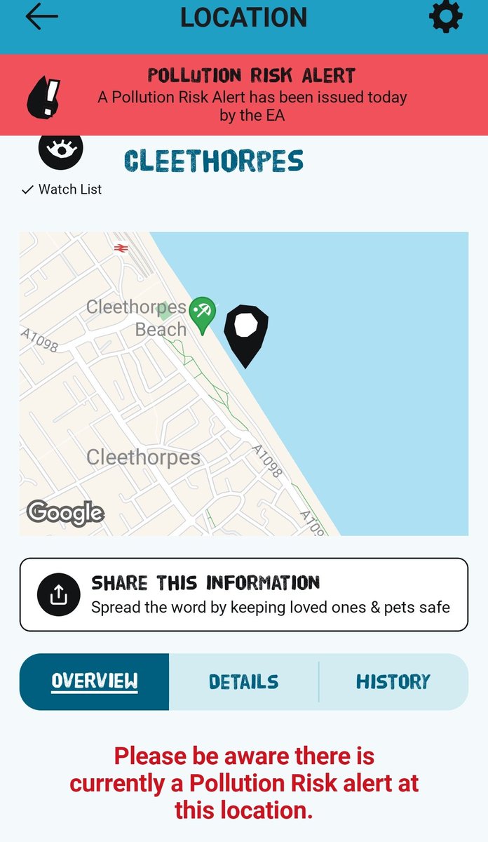 Ｔｅｅｔａ 💚🤍❤ tweet media