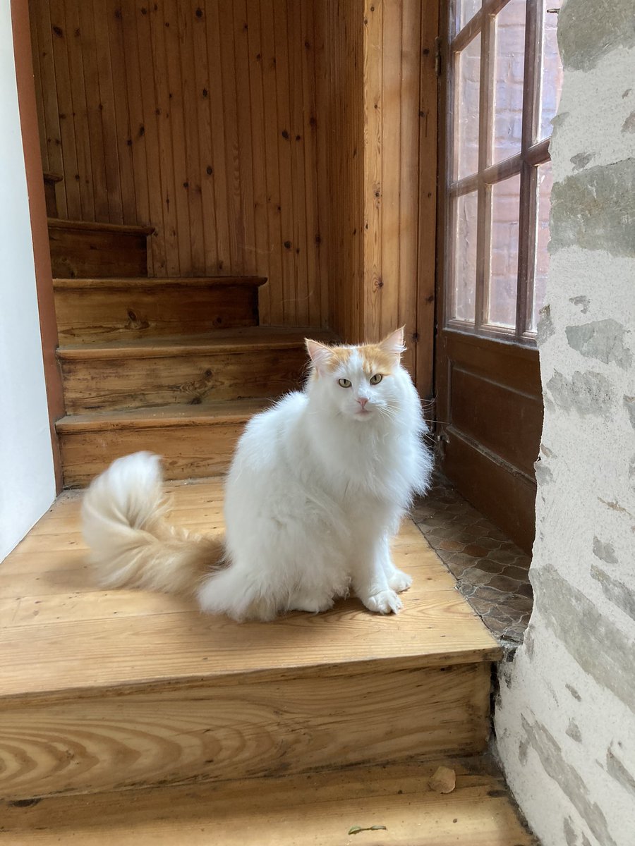 SHErlock 🔎🎀 🍋 ☃️ tweet media