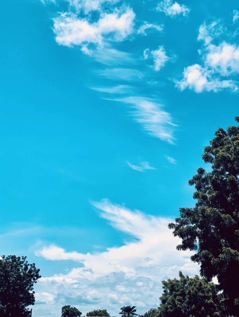 ladynaffy_'s tweet image. Testing my photography skills ❤️