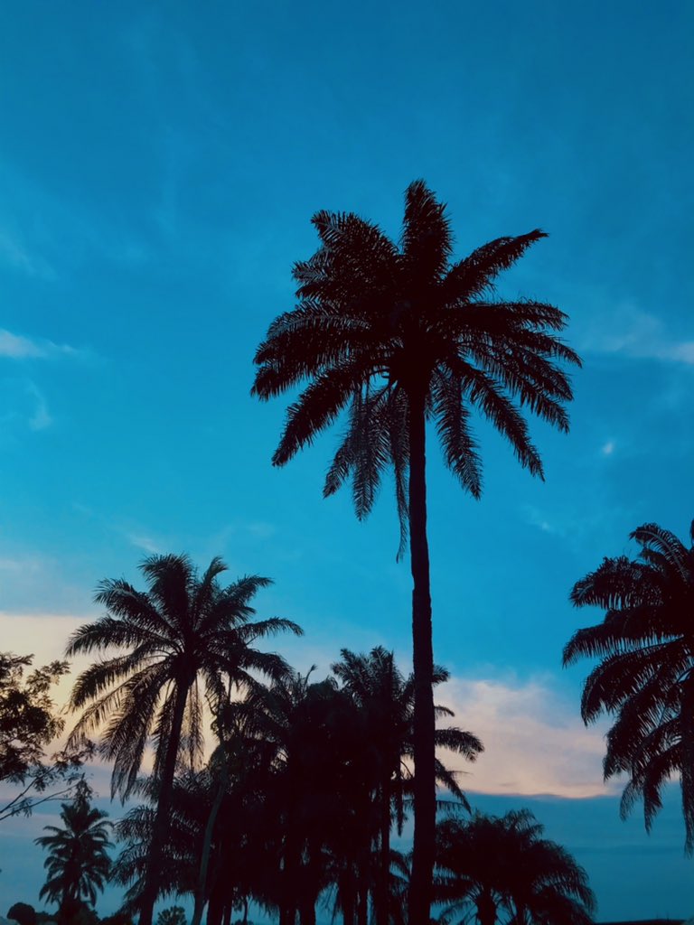 ladynaffy_'s tweet image. Testing my photography skills ❤️