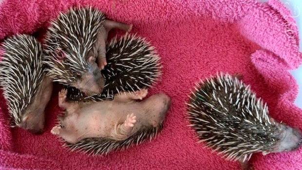 Natuur onder de loep -  streekbladzoetermeer.nl/l/154274