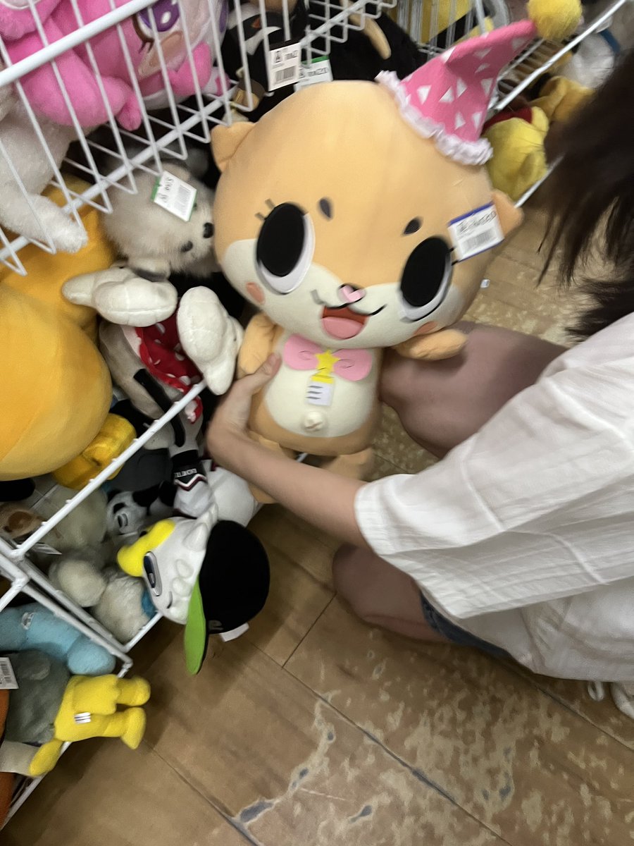 mizo_zoe's tweet photo. WE FOUND CHIITAN WHILE THRIFTING??? https://t.co/6giO4PsZ46