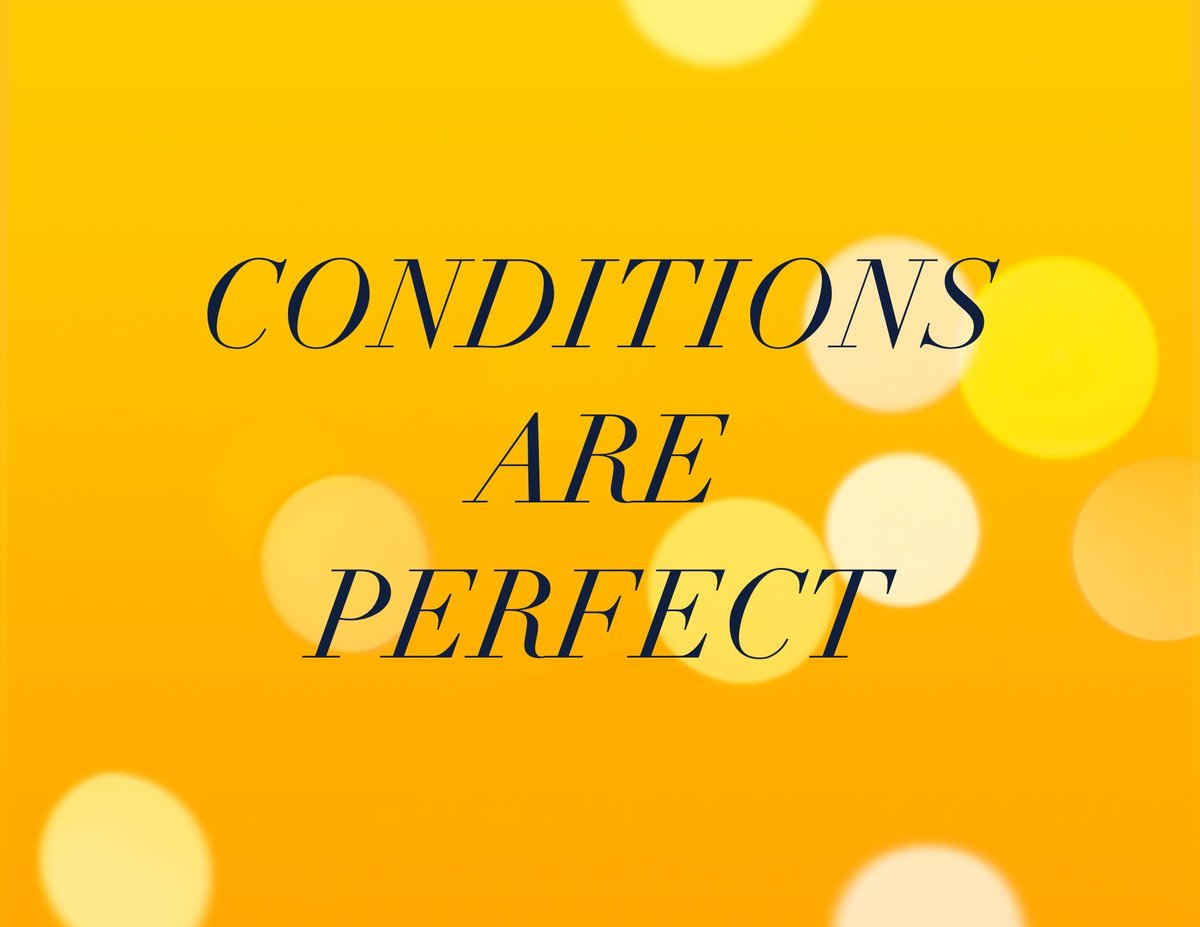 Angelique Wedda tweet media