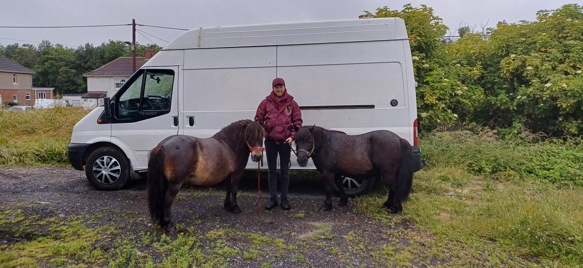 The great British 'Summer' strikes again! We were up and out bright and early to get Marley prepped for his appearance at Bamburgh Castle today, but the weather had other ideas. We will try again in 2 week's time. 🤞for ☀️
