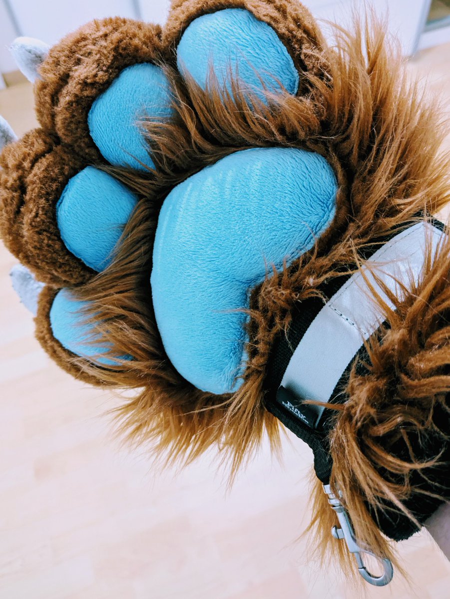 KeLoX 🇨🇭🇮🇹 tweet media