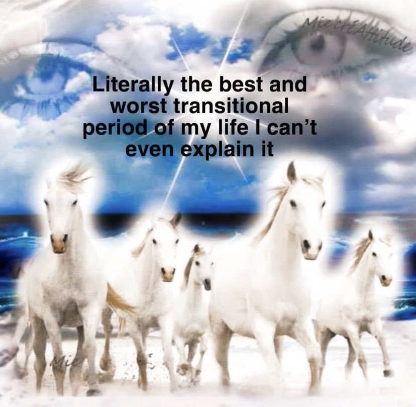 northstardoll's tweet image. 