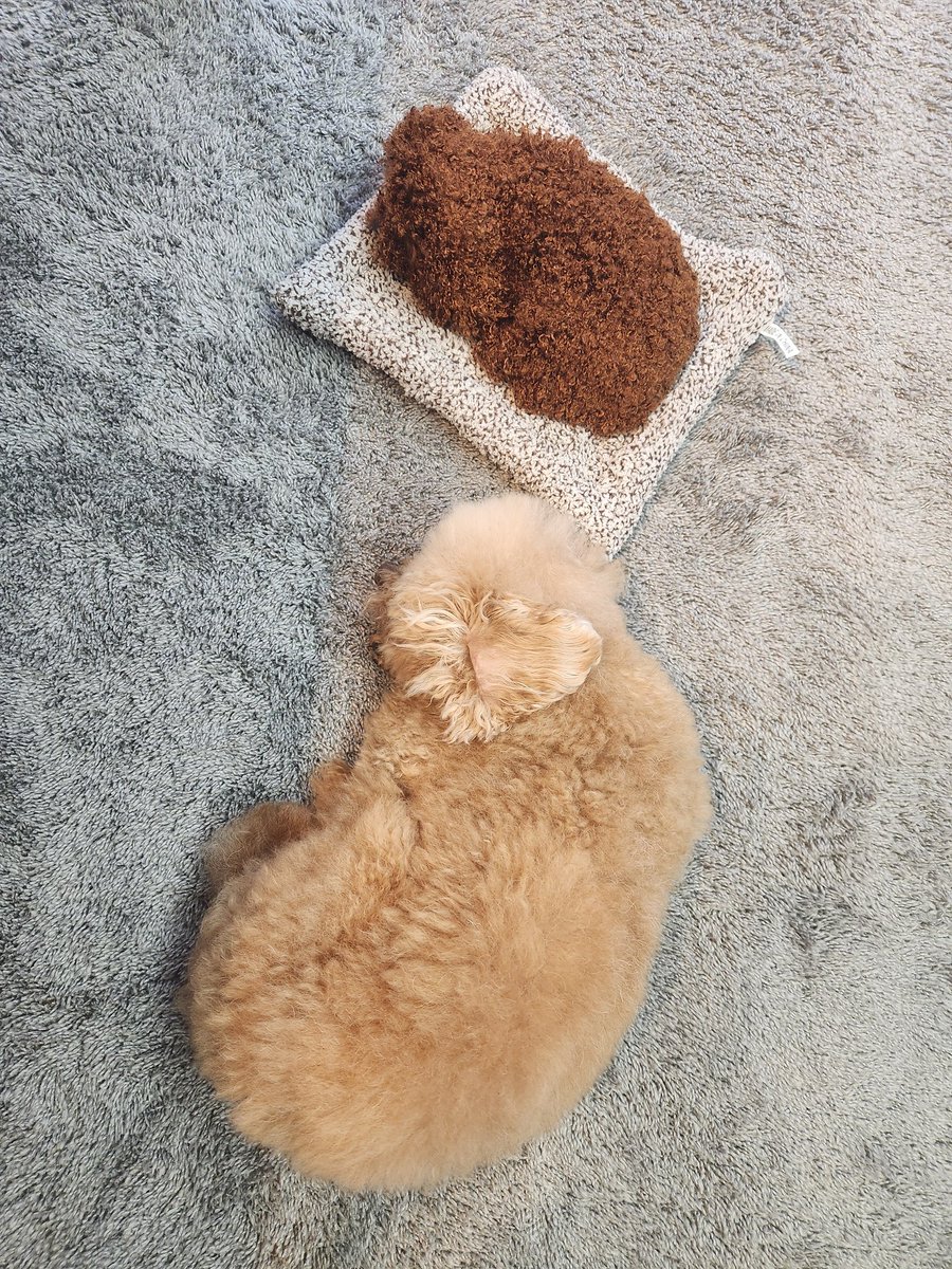 Amazonで買った犬型消臭剤