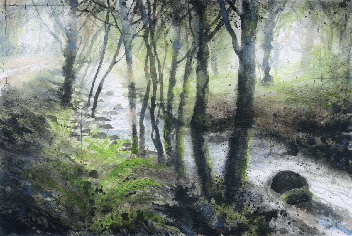 cookthepainter's tweet photo. ‘Moss and ferns’ ink, watercolour and charcoal

One of 30 paintings on show @TheArtStable as part of my ‘Temperate times’ exhibition. Open today until 20 July

https://t.co/t5QzrGTDW4…

#art #temperaterainforest #painting https://t.co/eDPsglqJOb