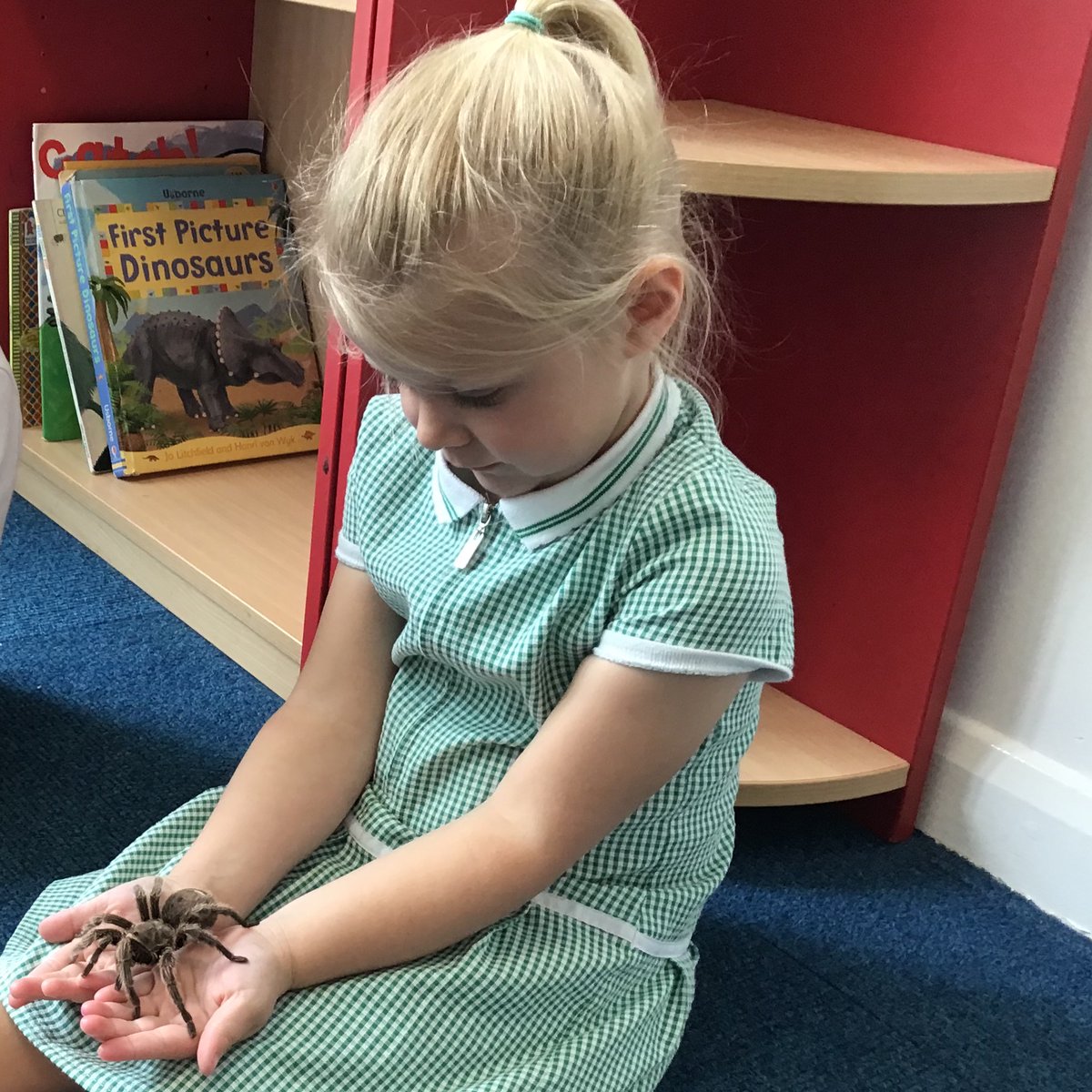 EYFS_BSA's tweet photo. This week in Nursery we welcomed a selection of animals. Some very brave Nursery children as you can see! A great experience for our youngest children in the school. 
#aimhigh @BrackensdaleS https://t.co/d4UVXNma3v