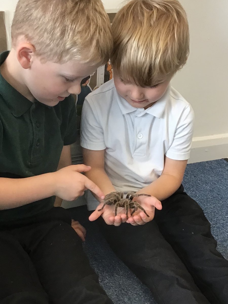 EYFS_BSA's tweet photo. This week in Nursery we welcomed a selection of animals. Some very brave Nursery children as you can see! A great experience for our youngest children in the school. 
#aimhigh @BrackensdaleS https://t.co/d4UVXNma3v