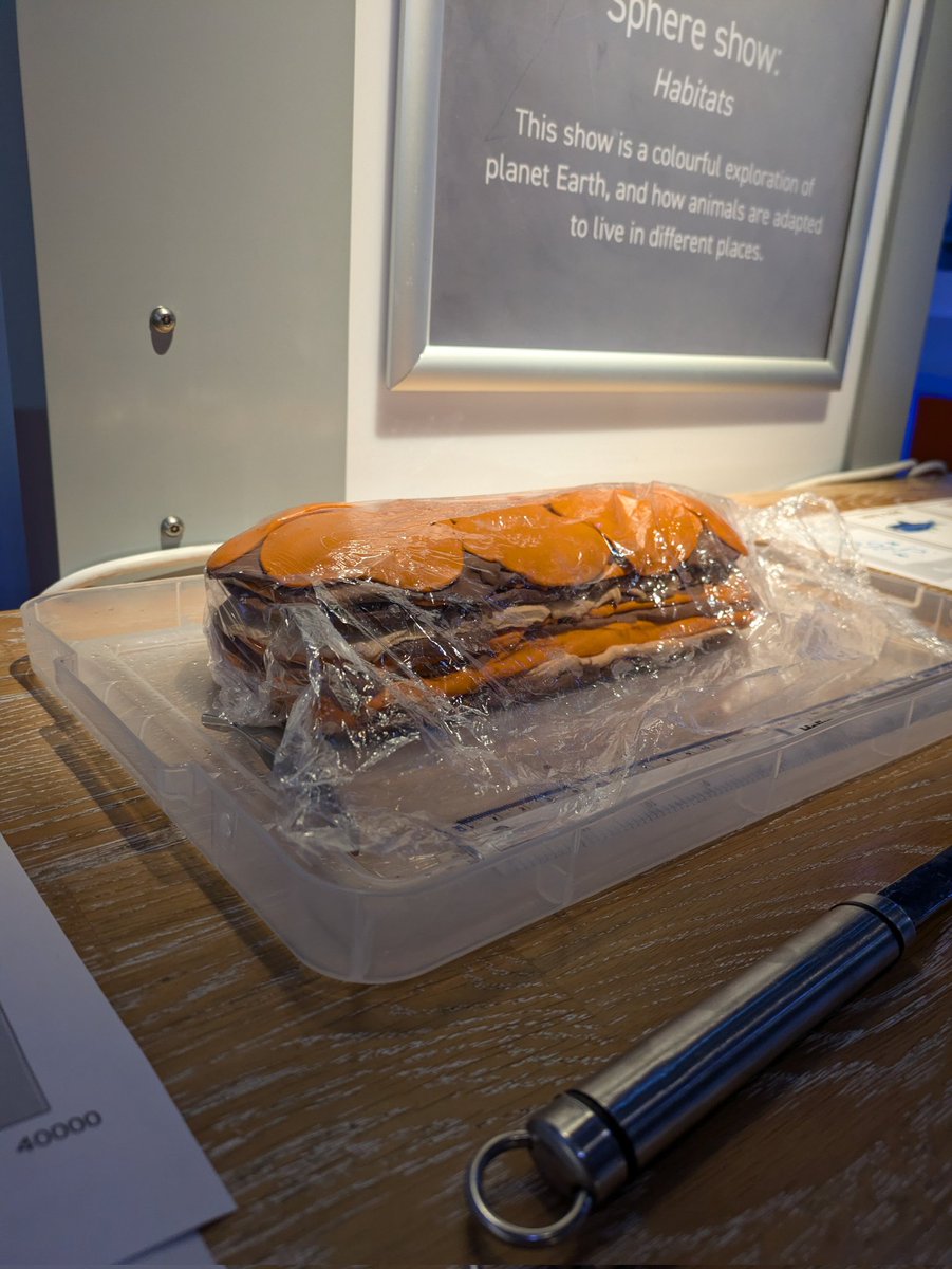 glaciergalyas's tweet photo. @GeogDurham #antsie team is all set up at @scienceatlife to talk about ancient bird vomit and what it can tell us about past Antarctic sea ice/climate change 🐤❄️ https://t.co/ALZgtS6DCz