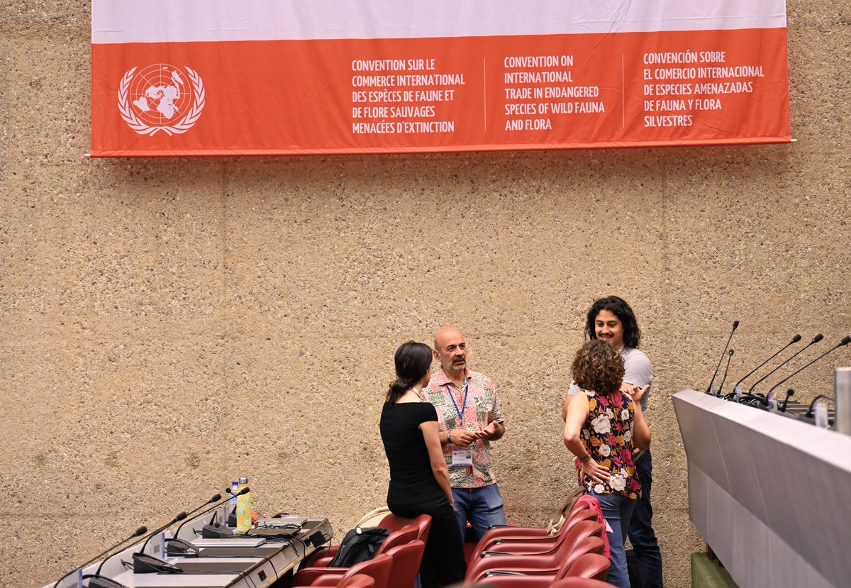 CITES's tweet image. The joint session of the #CITES Plants Committee (#PC27🌱) and the CITES Animals Committee (#AC33🐾) is underway!

Tune in 📺 youtube.com/@CITES