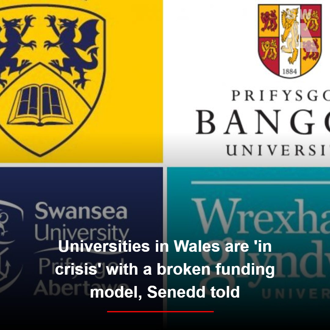 Wales’ universities are being battered and bruised from every angle, Senedd told

Read more: trib.al/fhEQiLh