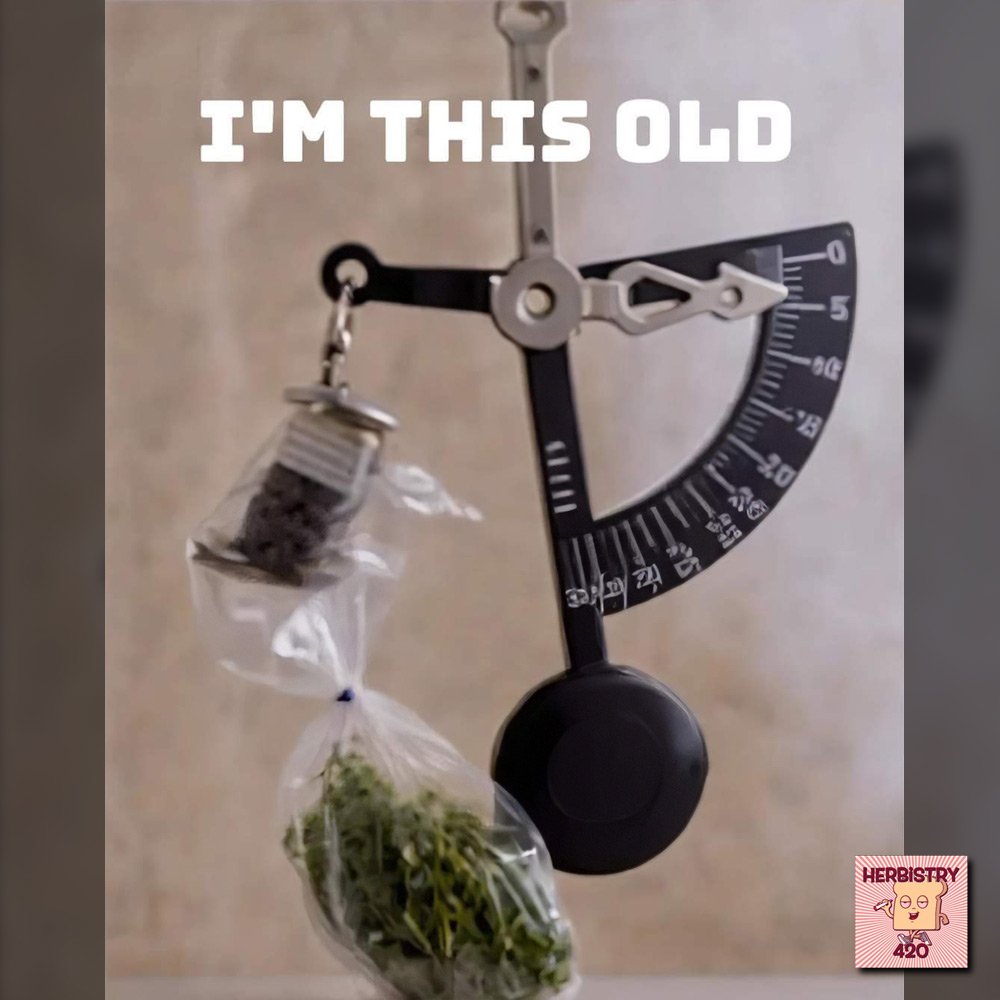 Herbistry420's tweet photo. 🤷😂
.
#dabpen #areyouhigh #howhighareyou #howhighareyouchallenge #munchies420 #munchies #highaf #stoned #cannabisinfluencer #CannabisCommunity #meme #memes https://t.co/ZARdBeTTRW