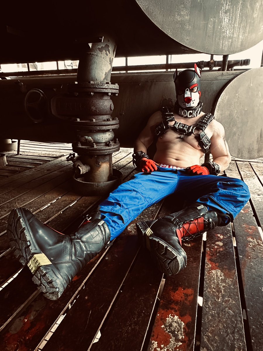 MusclePupRocky's tweet photo. Work me hard π
#puppyplay #jacked #muscleworship #boots #musclepup #workwear #cuffedstore #musclework #hunk https://t.co/HN7DvrIMXW