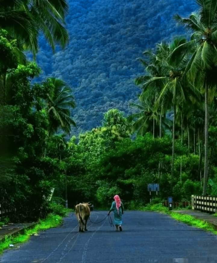 Badass1ZQ1's tweet photo. Palakkad , Kerala , India
#GodOwnCountry #Kerala #Tourism https://t.co/rCt7mPylKE