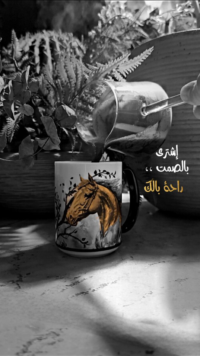 🫖☕️ Royal _ رويال tweet media