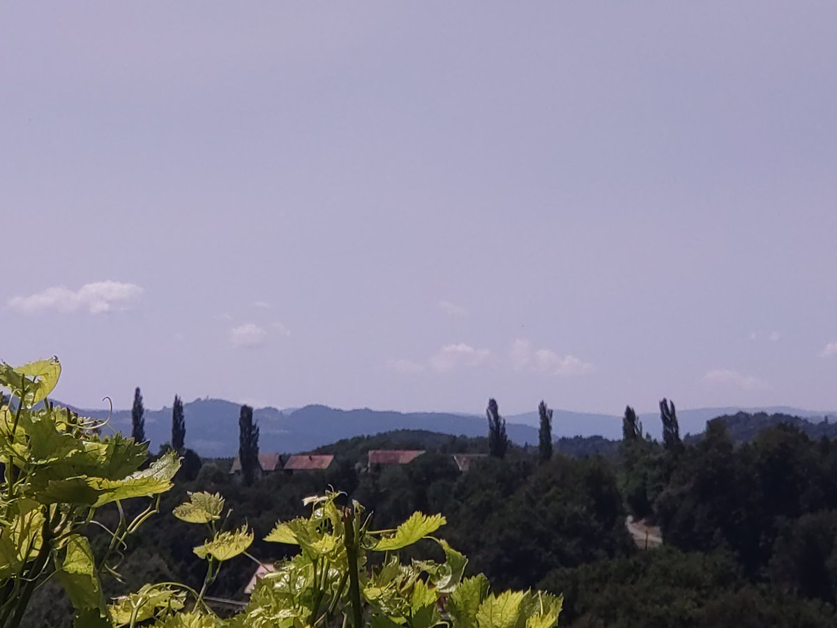 cheerssu's tweet photo. Summer down south
#HappySaturday #steiermarkliebe #klapotetz #AlmostTuskany #AlmostStajerska
@StormHour @ThePhotoHour @another_barbara https://t.co/Ln08YHZo6S