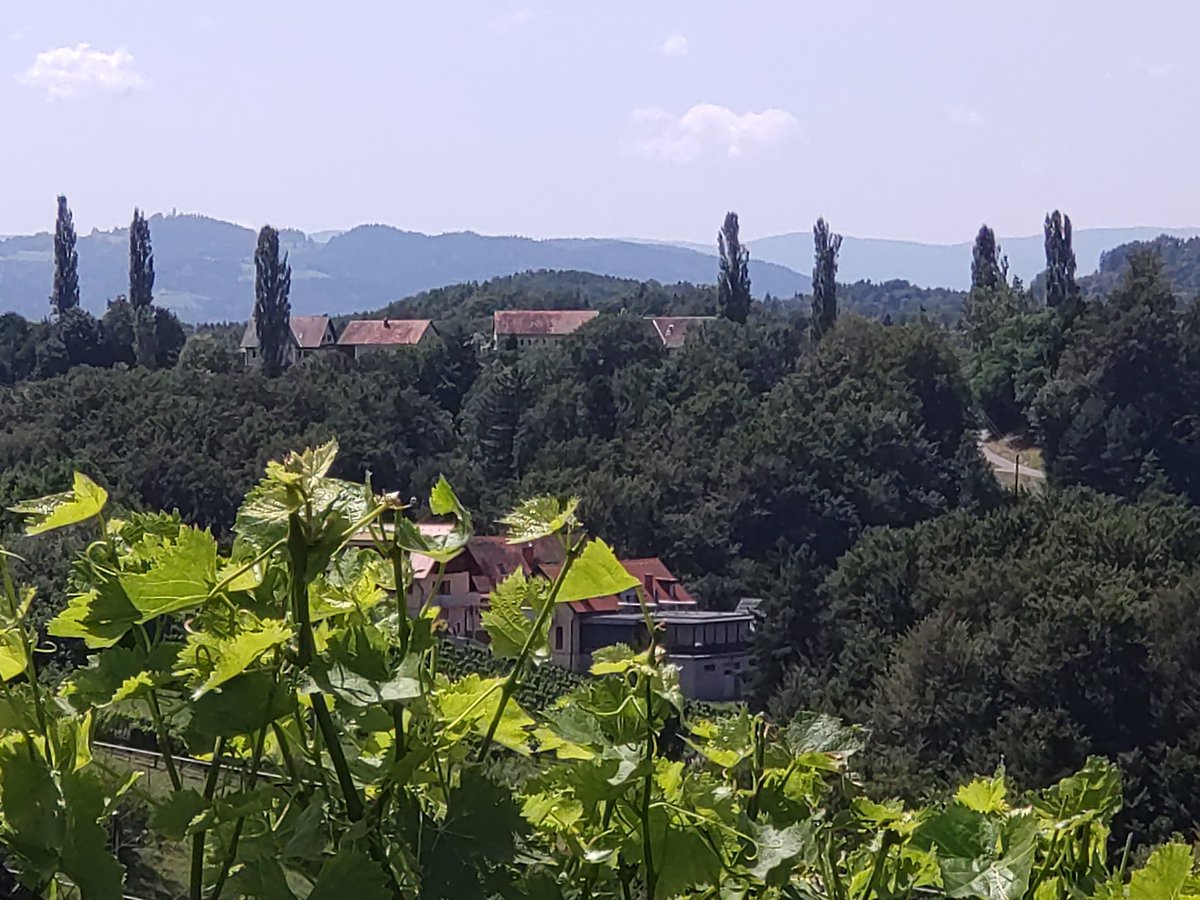 cheerssu's tweet photo. Summer down south
#HappySaturday #steiermarkliebe #klapotetz #AlmostTuskany #AlmostStajerska
@StormHour @ThePhotoHour @another_barbara https://t.co/Ln08YHZo6S