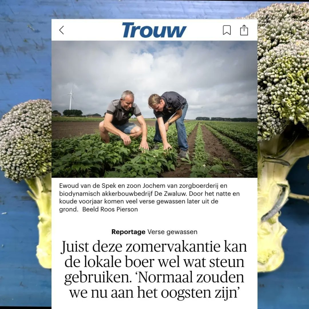 Onze oproep om hulp is gehoord! De Trouw pikte onze actie op en samen met jullie kunnen we deze zomer écht een verschil maken. 

De boeren staan voor grote uitdagingen door de aanhoudende regen.  boerschappen.nl/zomer/